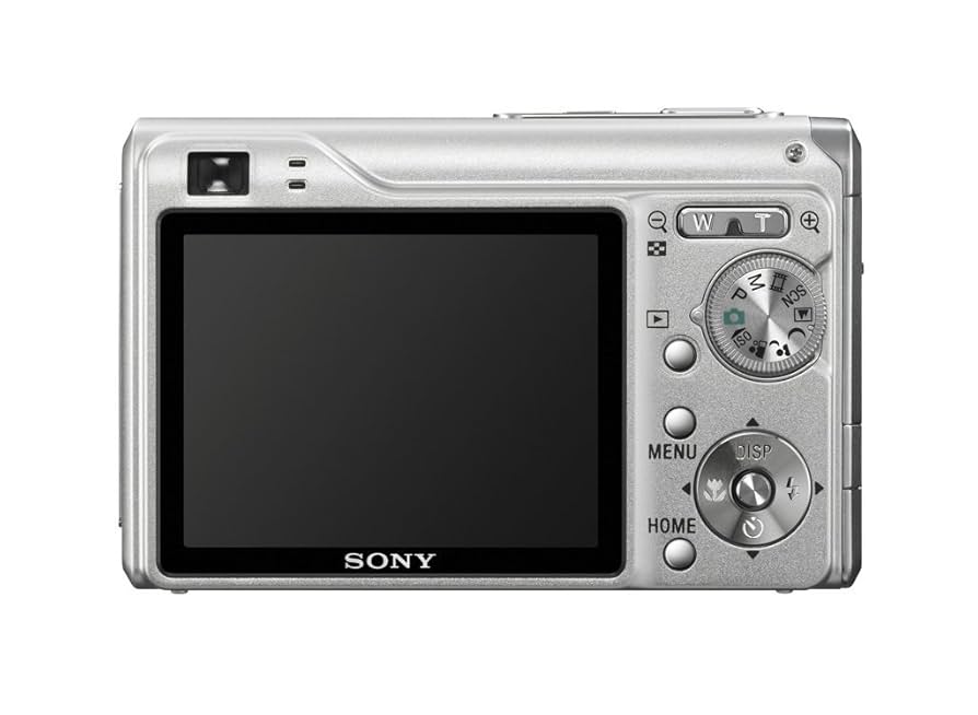 その他 SONY DSC-W200#174 Amazon.com : Sony Cybershot DSCW200 12.1MP Digital Camera